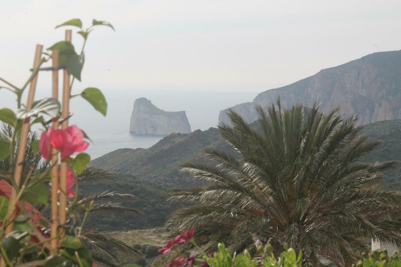 Vista Sul Pan Di Zucchero - Nebida - Holiday House ภายนอก รูปภาพ
